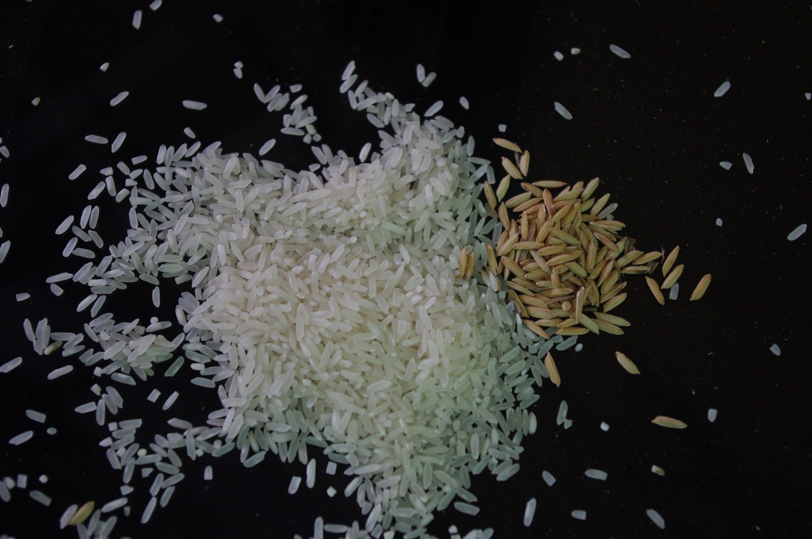 before after and in between