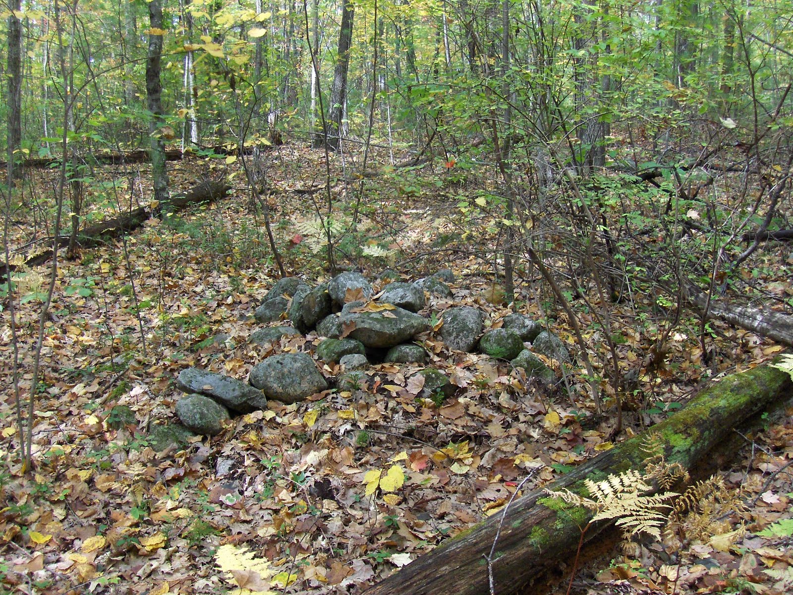 Rock Piles More on Townsend State Forest