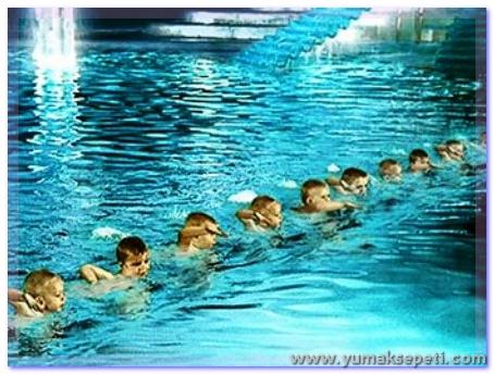 [Rapci-Bebekler-Havuzda.jpg]