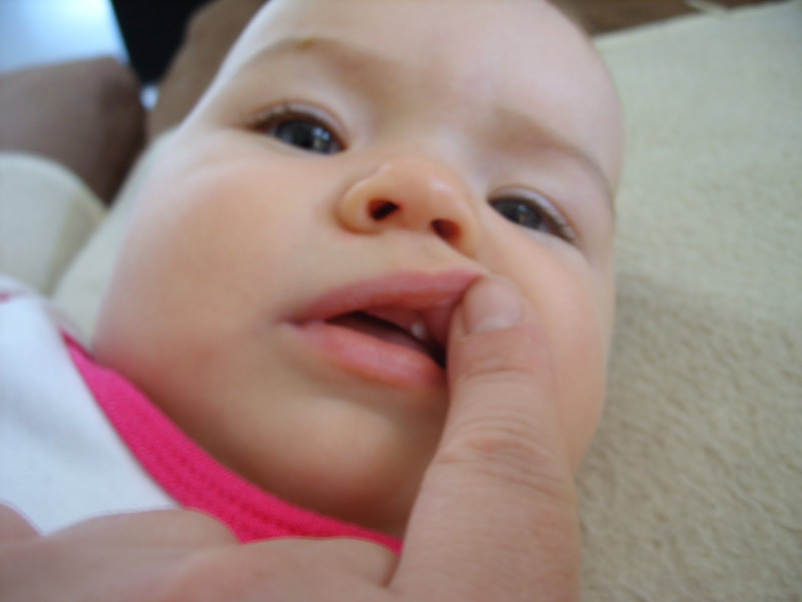 Aus meinem Kopf...und anderes Zeug Eckzahn