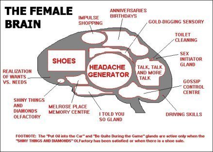 female+brain.jpg