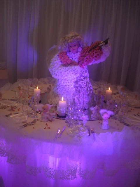 [DSC03951.JPG]