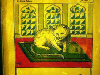 猫の絨毯