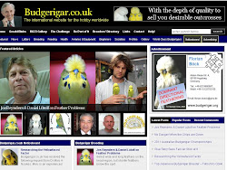 BUDGERIGAR.CO.UK