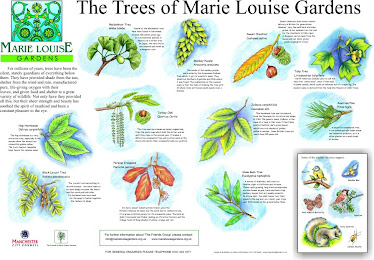 Marie Louise Gardens, Manchester