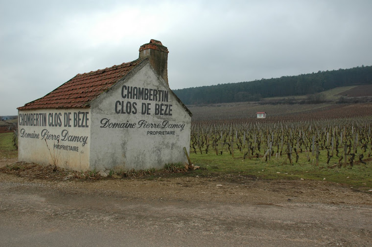 A vineyard in Burgundy