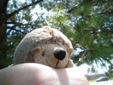 Hershey the Hedgehog