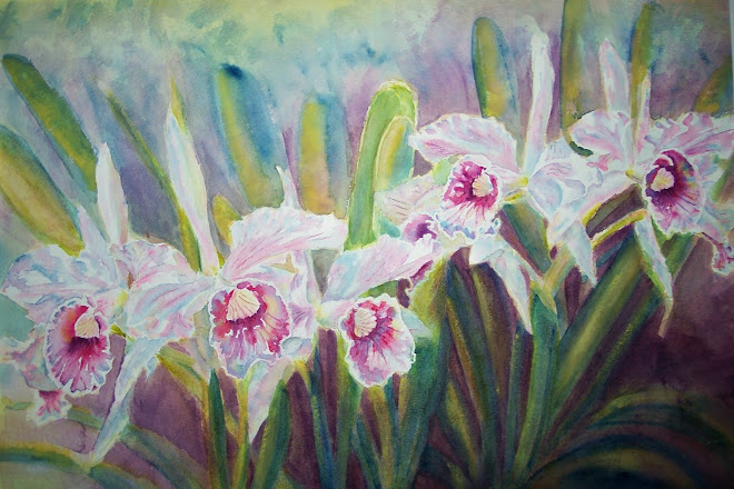 Laelia Purpurata