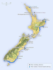 New Zealand - Coastal Shipping Routes