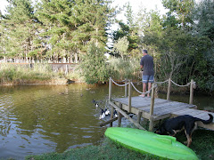 Our pond and river on our farm