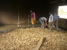 KENYA: Pouring the cement for the classroom floor.
