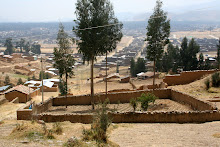 PERU: August 7 - 20, 2010