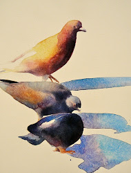 pigeon funky watercolor freeman facts ariel fine pigeons paintings homing bird painting watercolour negative space birds value composition drawings visit