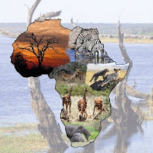 Our Adoption Fundraiser