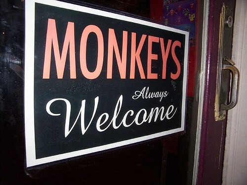 [monkeysign.jpg]