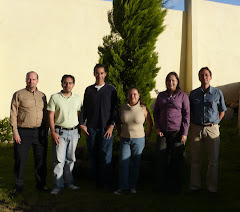 nanocomposites group, 2008