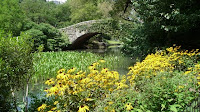 photo+6,+the+Pond+and+Gapstow+Bridge