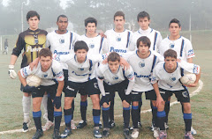 Quinta división - 2010