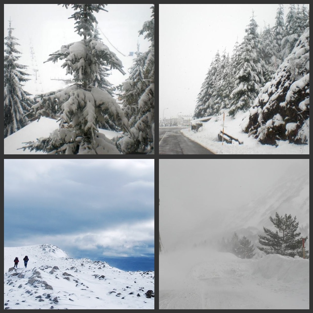 Mas de mi....: Ultimas fotos de las Vacaciones