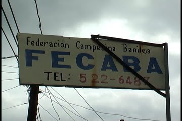 [fecaba[1].bmp]