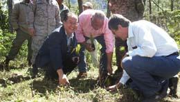 [GetAttachment[4].jpg]