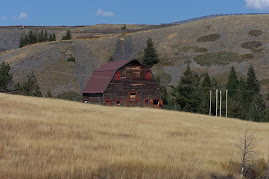 Two Medicine barn