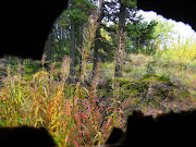 Thru a hole in the outhouse wall...