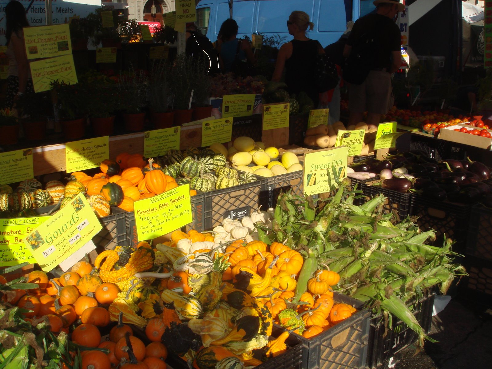 [Greenmkt+Fall+Stuff.jpg]
