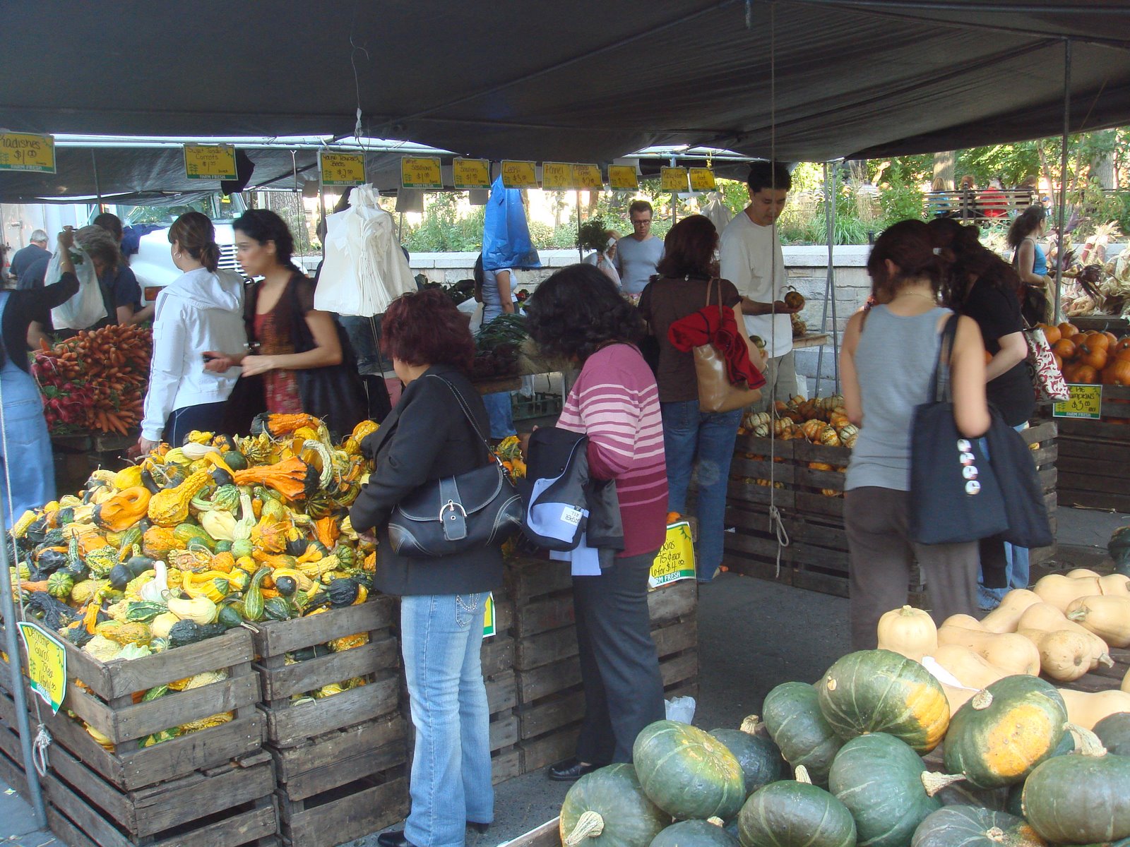[Greenmkt+Ppl+picking+fruits.jpg]