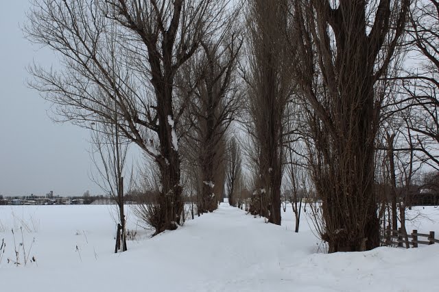 [IMG_2573.JPG]