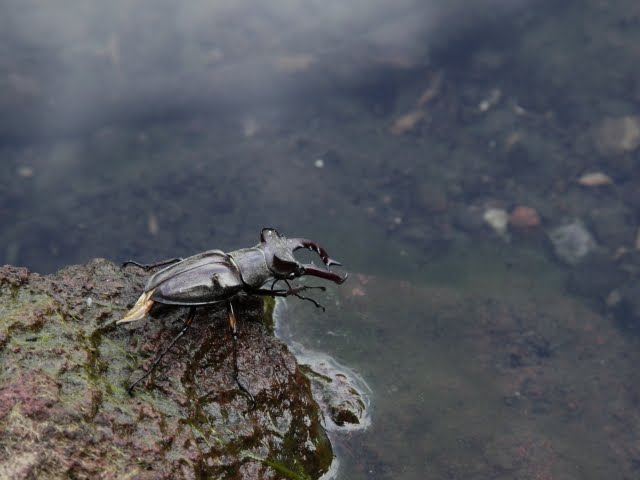 [IMG_1228.JPG]