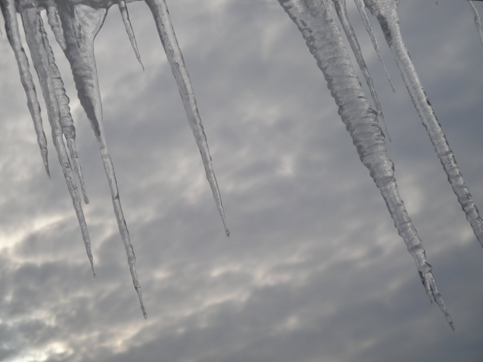 [rice+cooker+019.JPG]