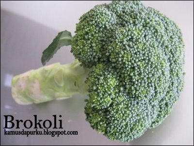 [brokoli2.JPG]