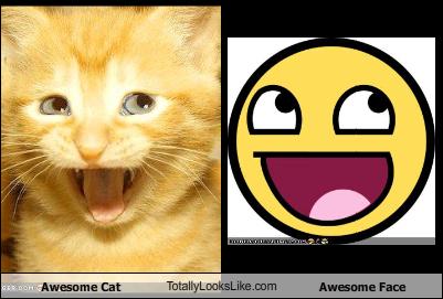 Awesome_Cat