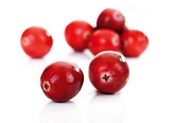 [cranberries.jpg]