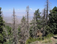 California Mountain range