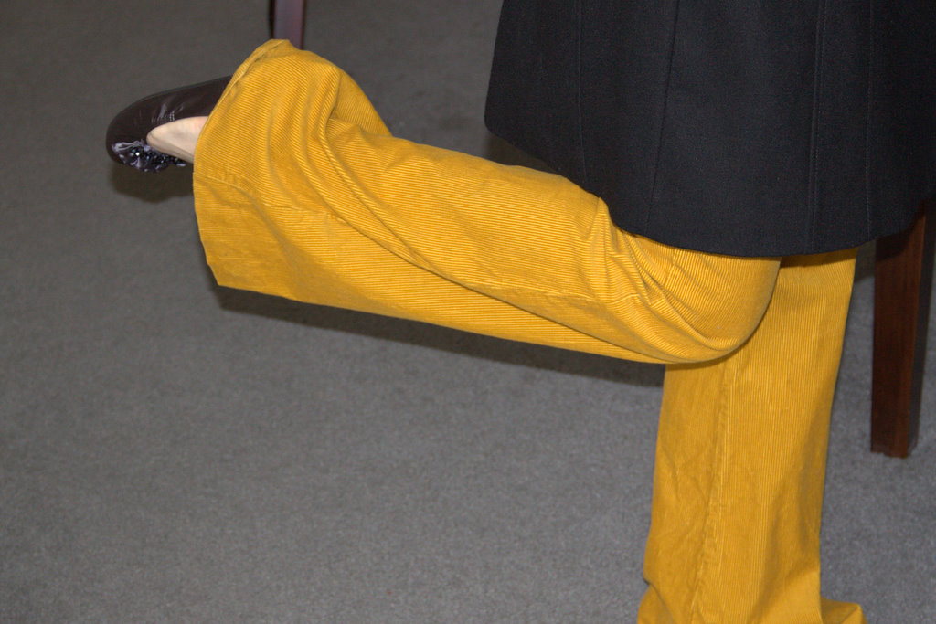 Leah's Ideas Insanity Update (and the mustard yellow pants)