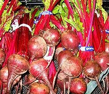 Beet (Beta Vulgaris)