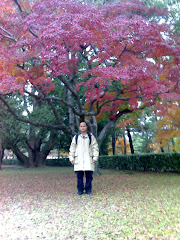 Kyoto, November 2007
