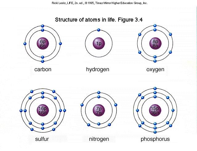 Structure of Common Atoms