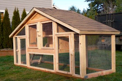 chicken coop diy coops chickens plans build designs houses easy cheap own rabbit building op simple quail backyard hutch roosting
