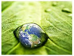 Greening the Economy