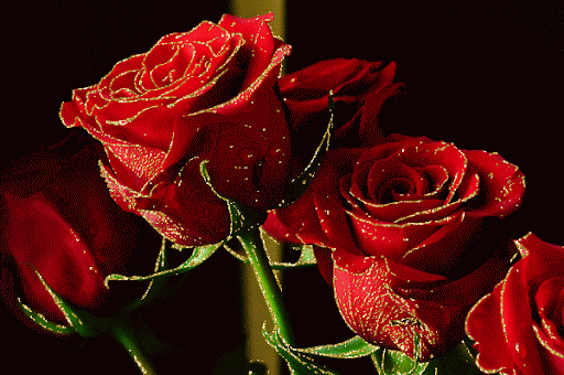 842564.gif