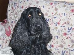 I BAD BEAT CAPITANO A TUTTI , ANCHE AI MIGLIORI. MA PERCHE'? PROPRIO A ME SIGH?