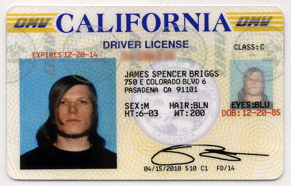 Driver s license. Florida Driver License. California Driver License. California Driving License. Greece Driver License.