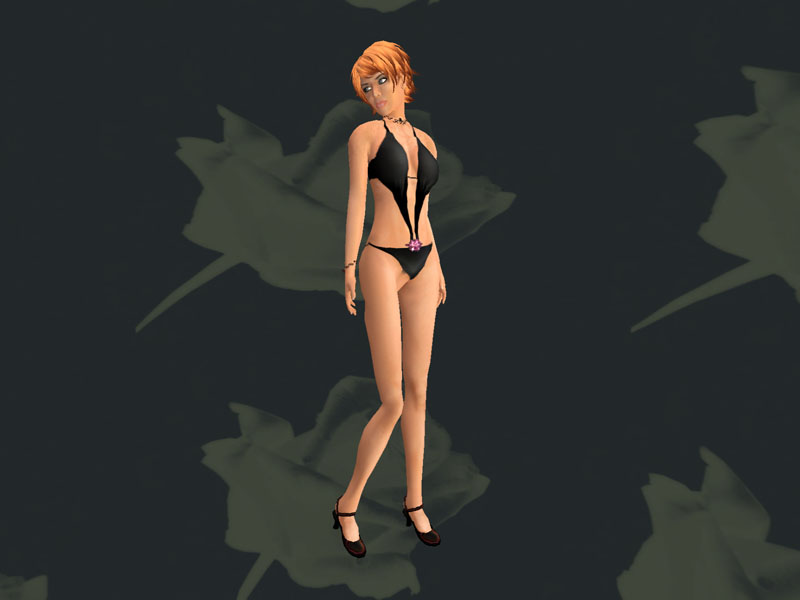 [SL-ModelPortfolio0205.jpg]