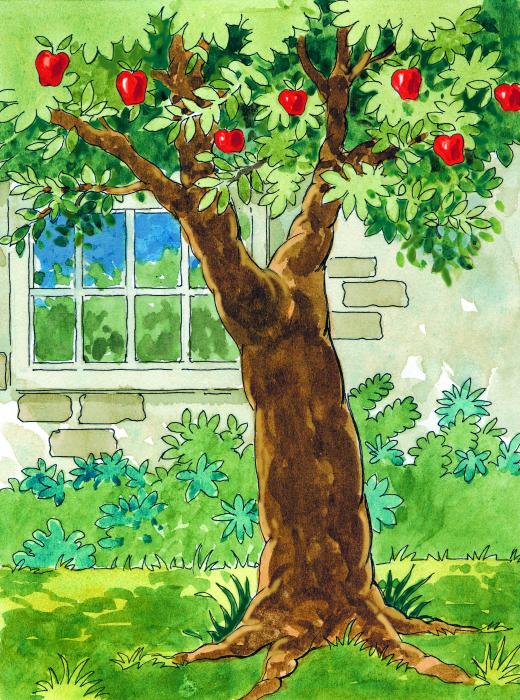 Картинка сад для детей. Деревья в саду для детей. Яблоневое дерево для дошкольников. Фруктовые деревья детский сад. Красивая Сказочная яблоня.