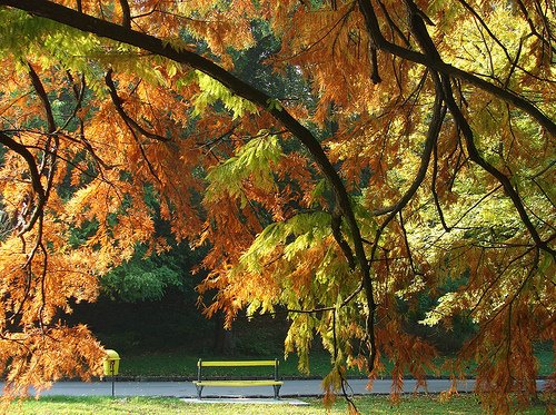 [2931976024_08dc1cb06c.jpg]