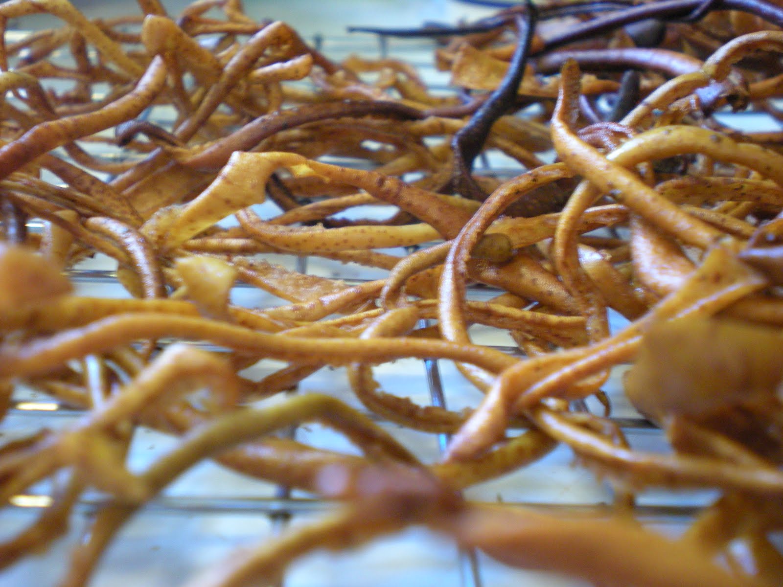 Rational Living (Kinda) Historic Recipe Dried Apple Skins