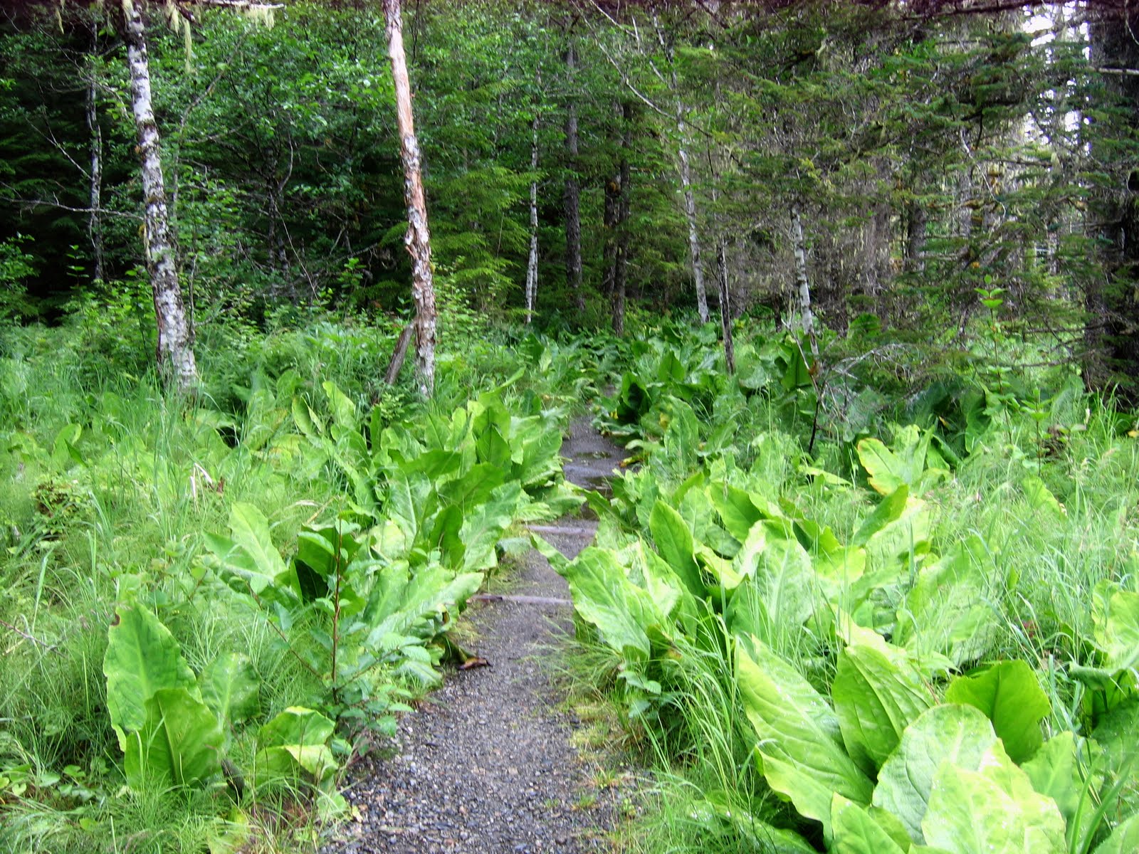 Navigating Juneau Point Bridget